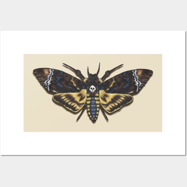 Death's Head Moth Wall Art by ConnieFaye